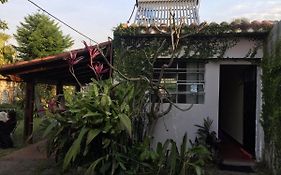 Tiny-House